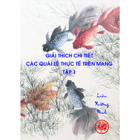 GIẢI THÍCH CHI TIẾT CÁC QUÁI LỆ THỰC TẾ TRÊN MẠNG 1
